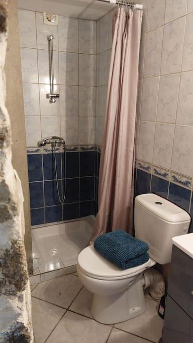 Maisonnette Chaleureuse De 35M2 Miremont  Екстериор снимка